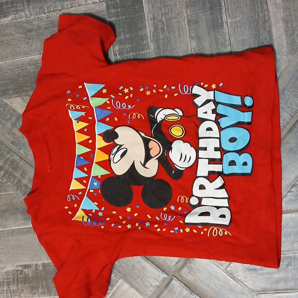 Mickey mouse farm birthday lot - Picture 14 of 15